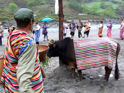 festival image