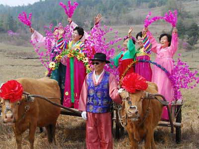 festival image