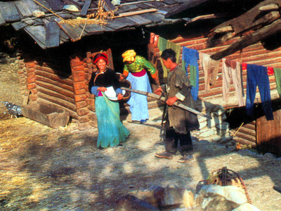 festival image