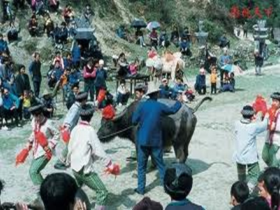 festival image