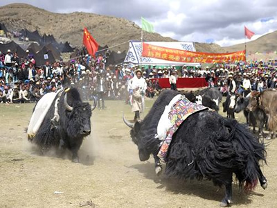 festival image