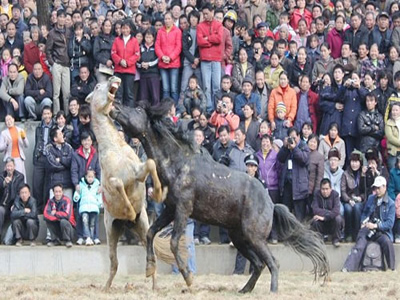 festival image