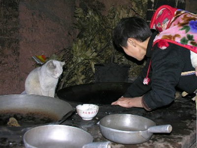 festival image