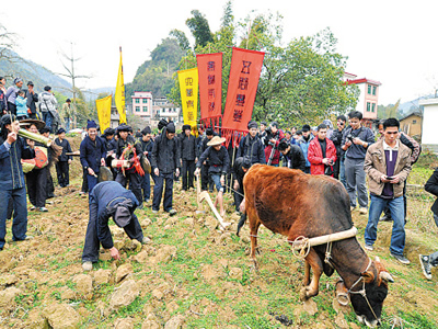 festival image