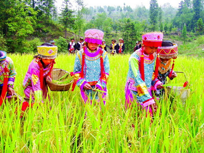 festival image